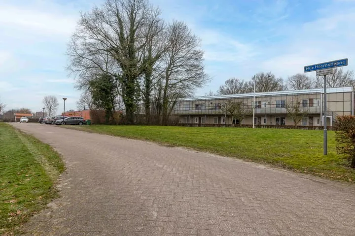 Nije Hoarnstleane 8 Eastermar thumbnail 51