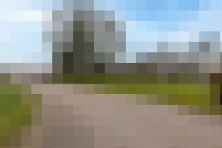 Nije Hoarnstleane 8 Eastermar thumbnail 51