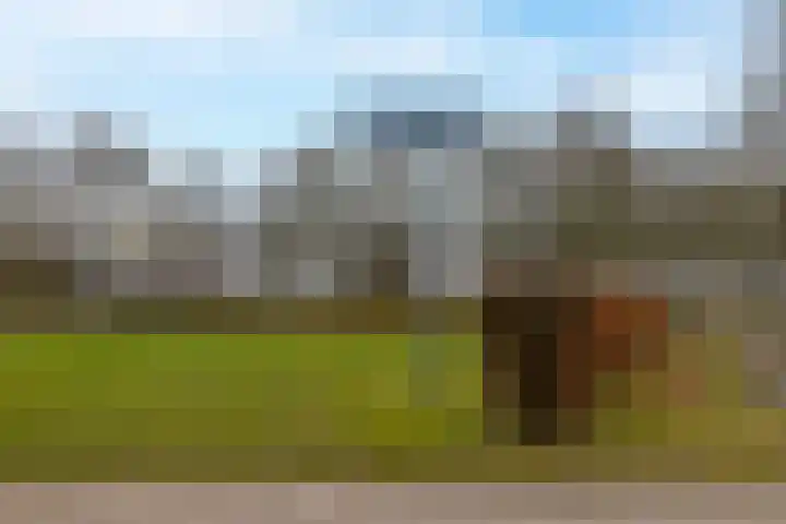 Nije Hoarnstleane 8 Eastermar thumbnail 53