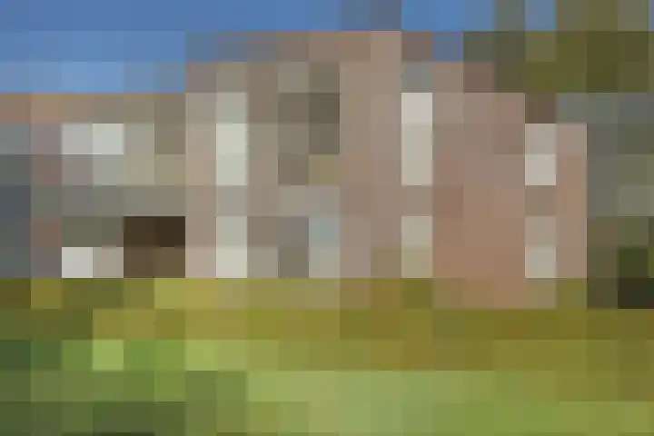 Nije Hoarnstleane 8 Eastermar thumbnail 6