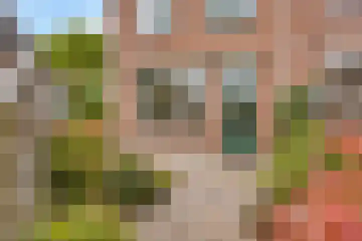 Nije Hof 1 Angeren