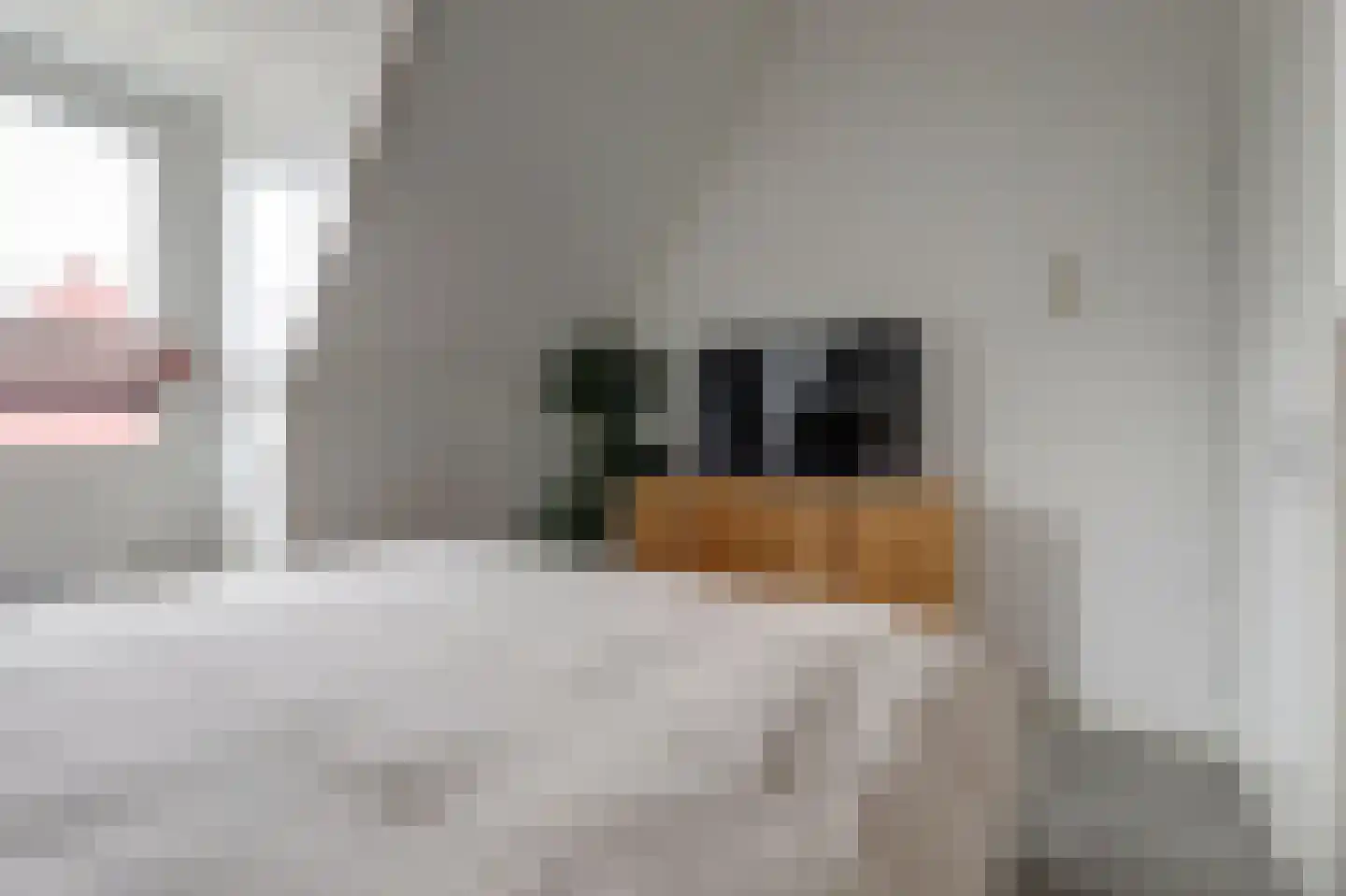 Nije Hof 1 Angeren thumbnail 10
