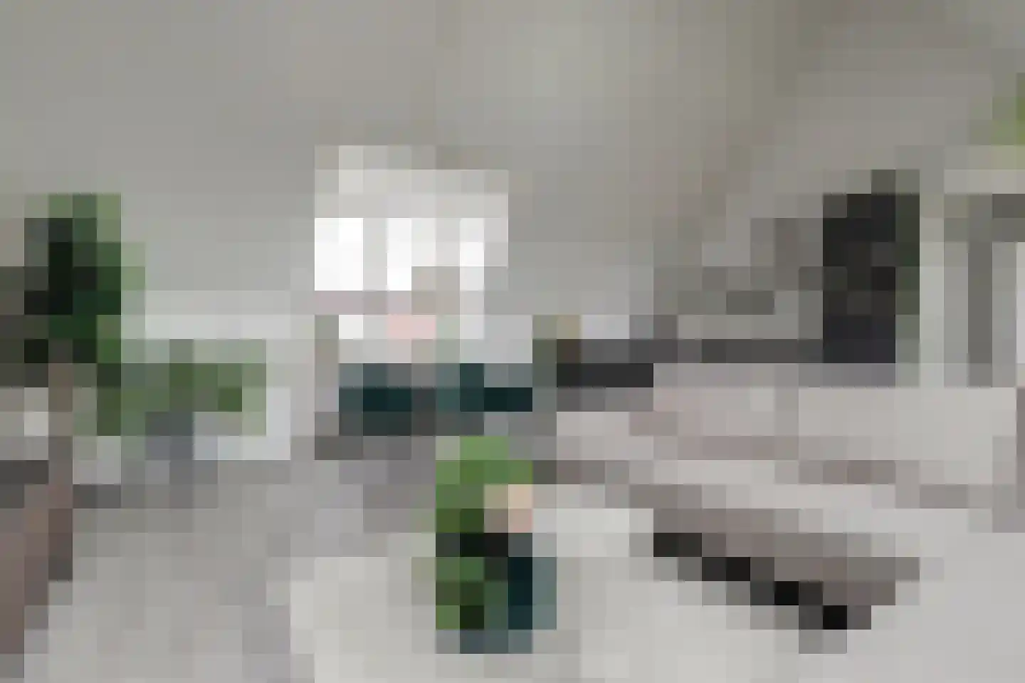 Nije Hof 1 Angeren thumbnail 17