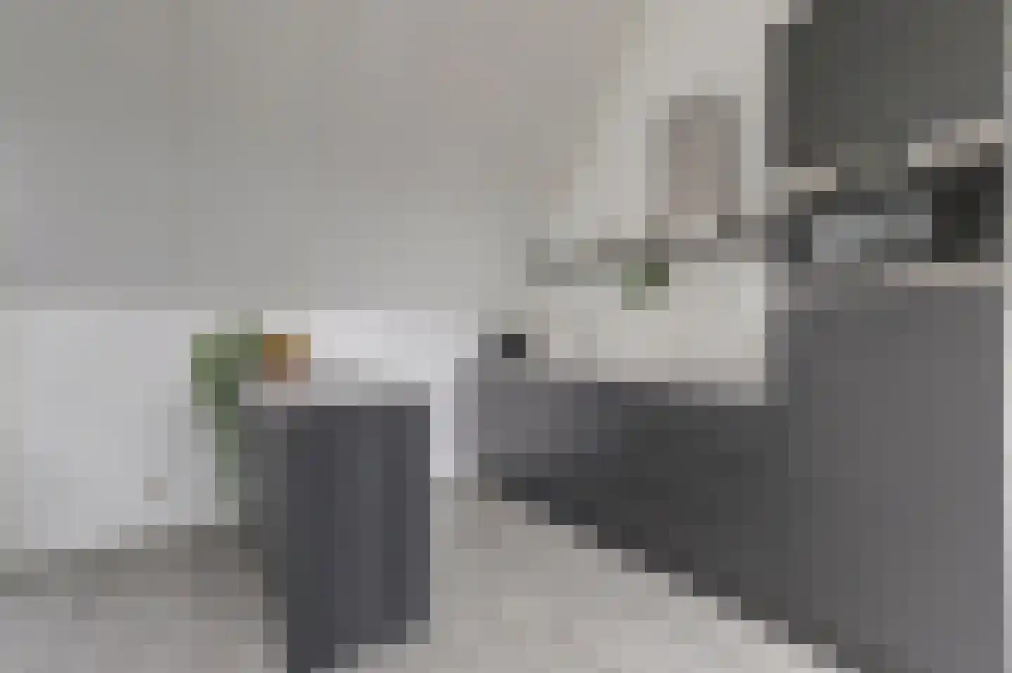 Nije Hof 1 Angeren thumbnail 25