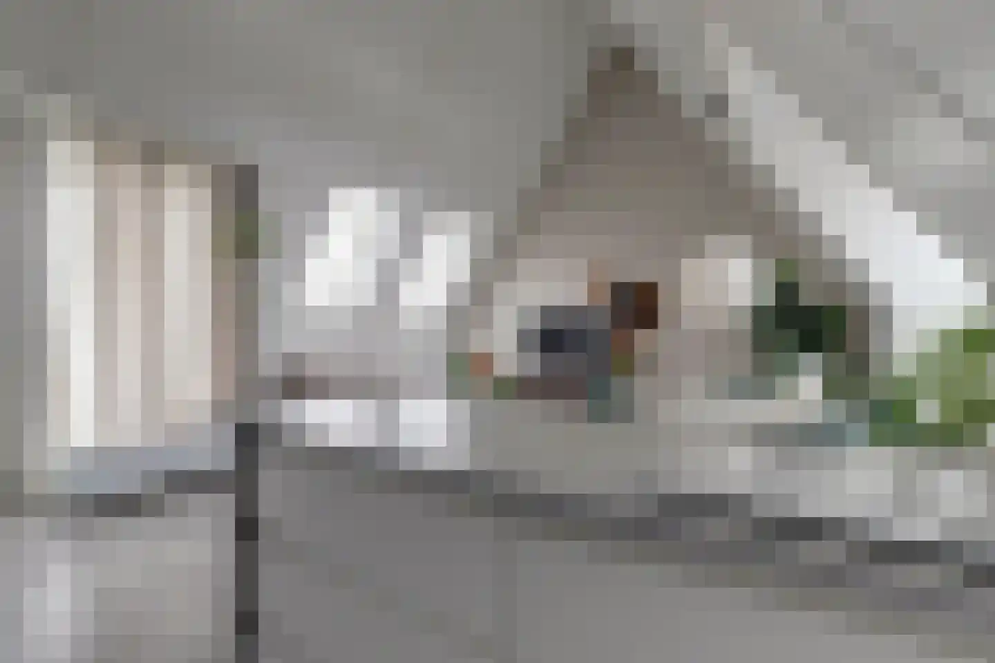 Nije Hof 1 Angeren thumbnail 26