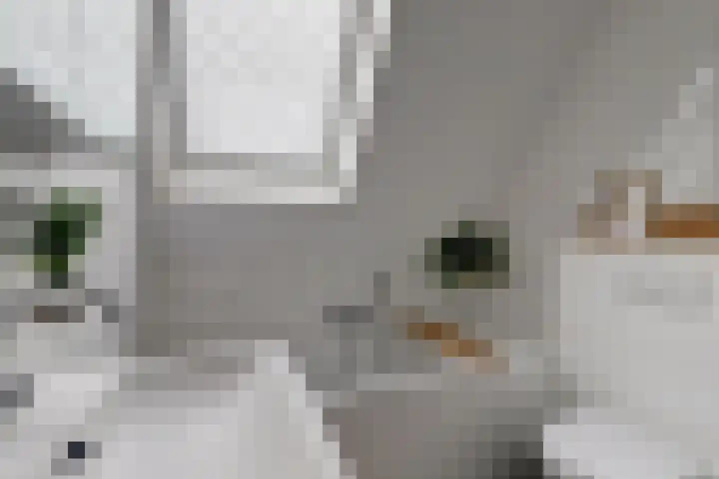 Nije Hof 1 Angeren foto 3