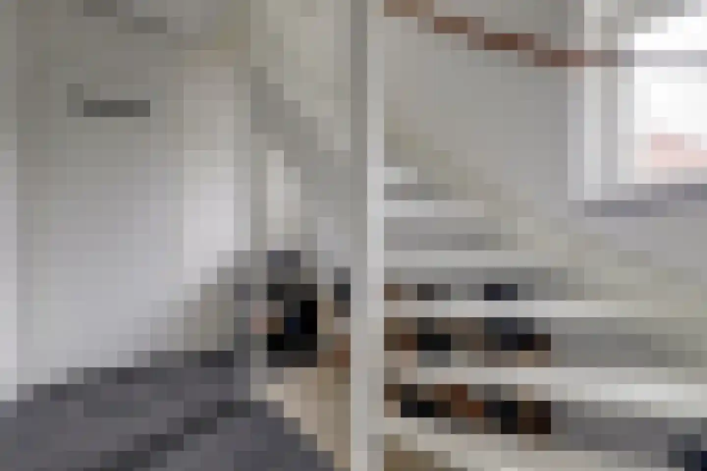 Nije Hof 1 Angeren thumbnail 5
