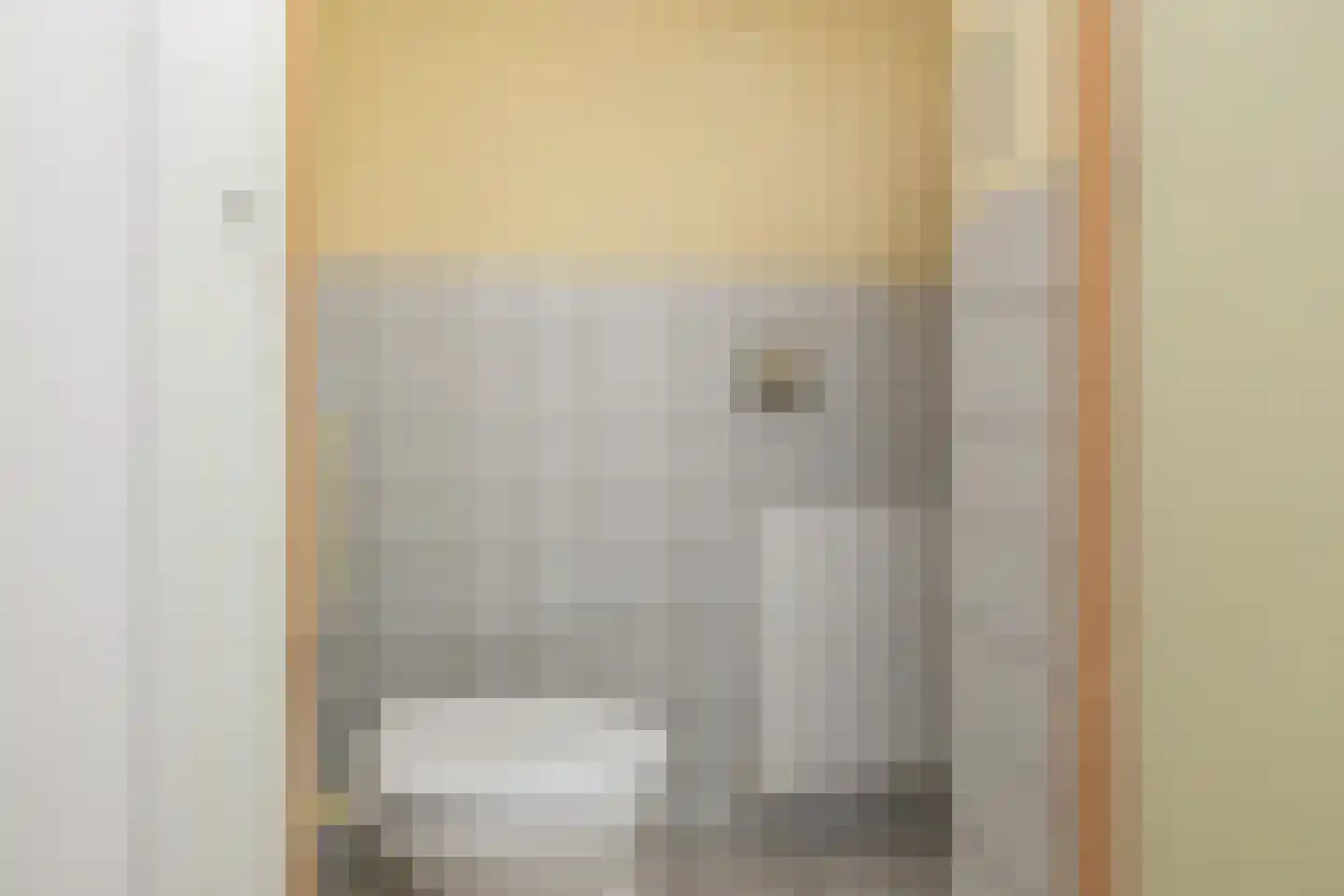 Nije Streek 26 Houtigehage thumbnail 10