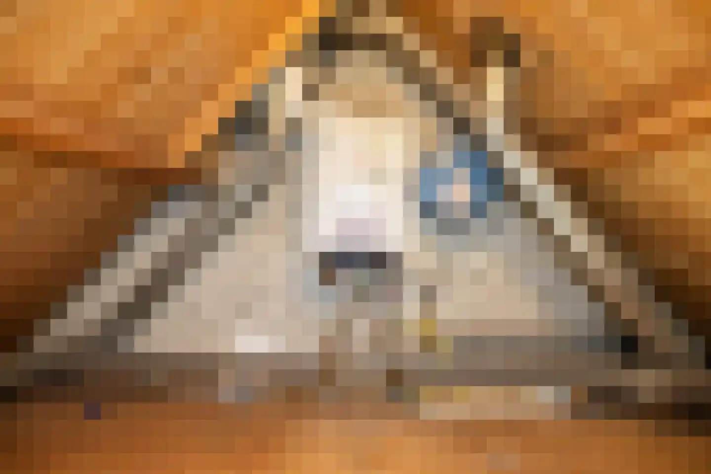 Nije Streek 26 Houtigehage thumbnail 17