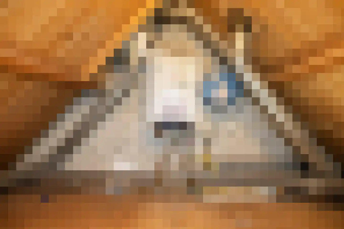 Nije Streek 26 Houtigehage thumbnail 17
