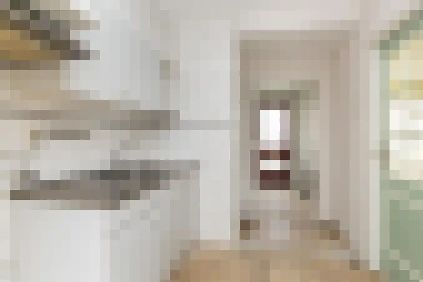 Nije Streek 26 Houtigehage thumbnail 7