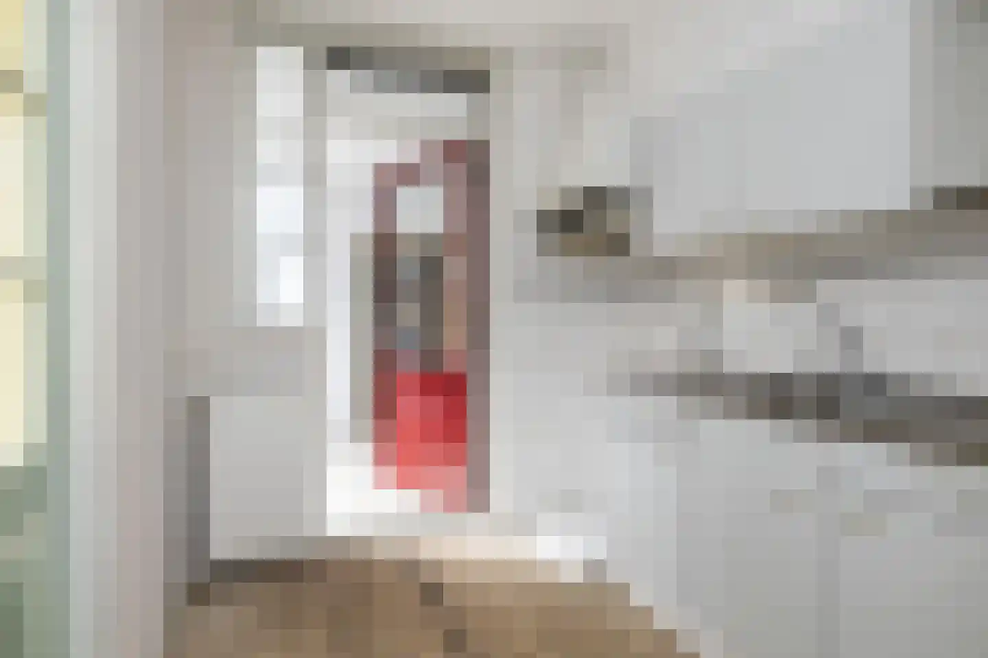 Nije Streek 26 Houtigehage thumbnail 8