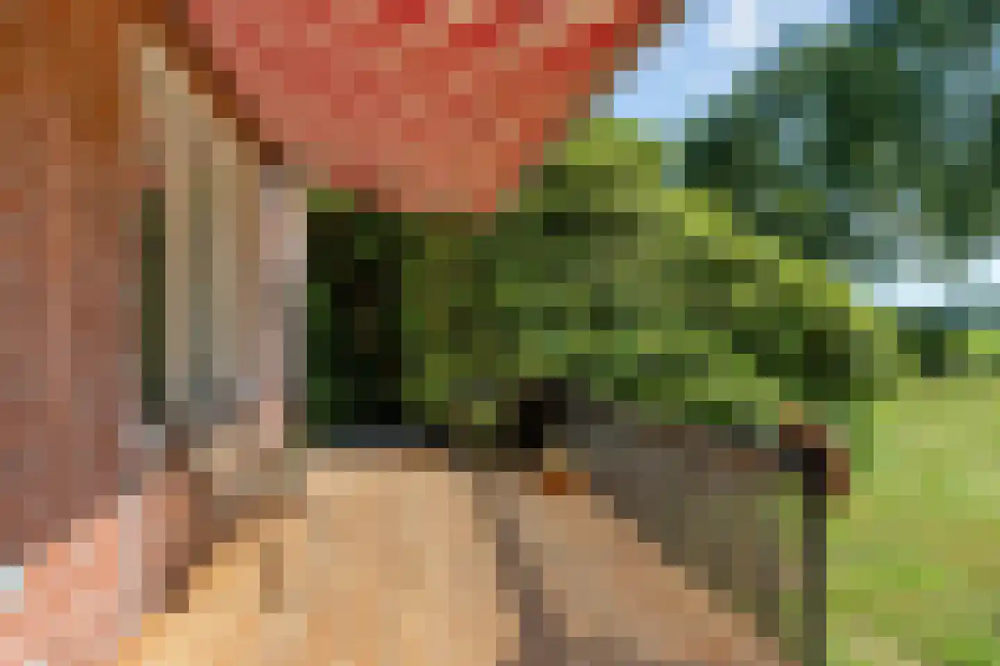 Nijeberkoperweg 27 Jubbega thumbnail 38