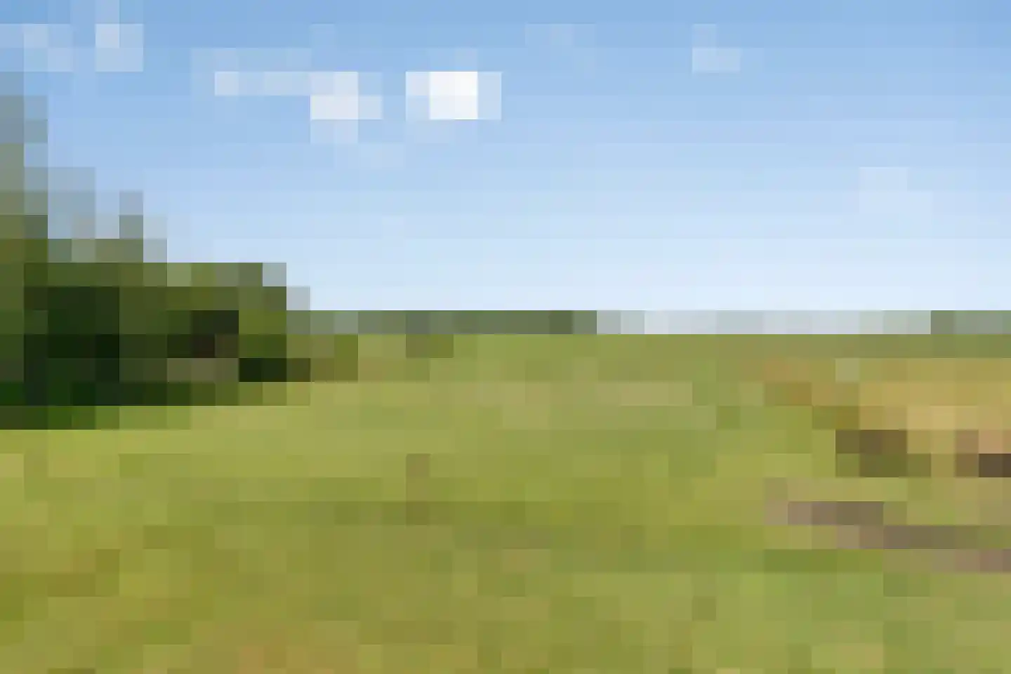 Nijeberkoperweg 27 Jubbega thumbnail 4