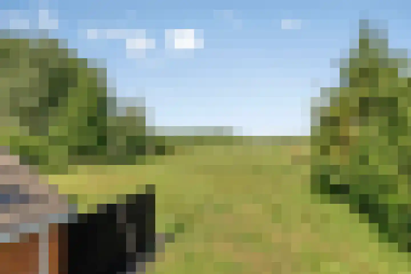 Nijeberkoperweg 27 Jubbega thumbnail 41
