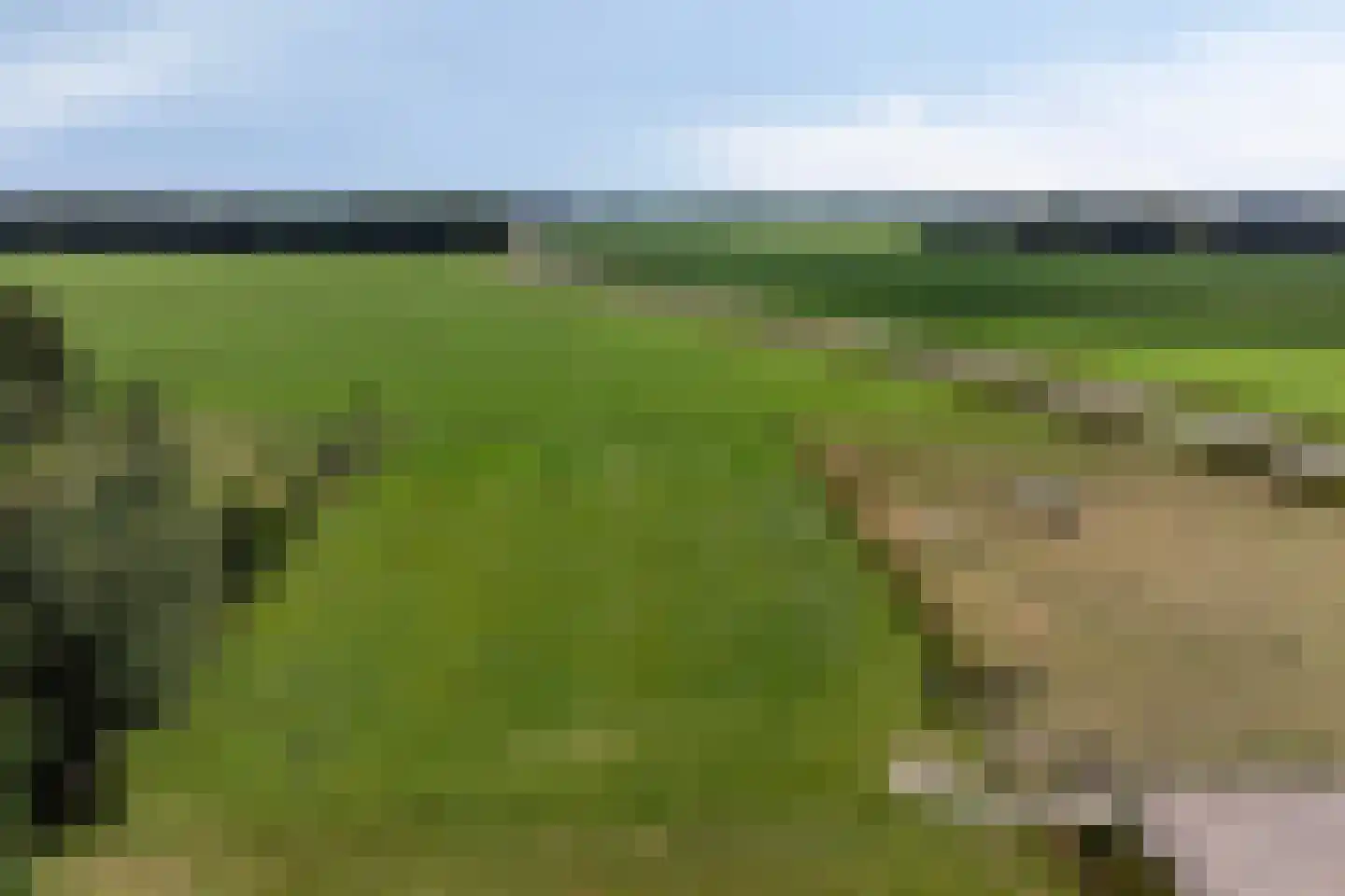 Nijeberkoperweg 27 Jubbega thumbnail 47