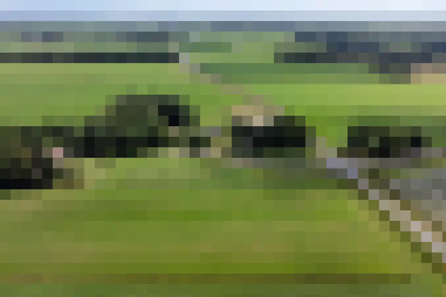 Nijeberkoperweg 27 Jubbega thumbnail 5