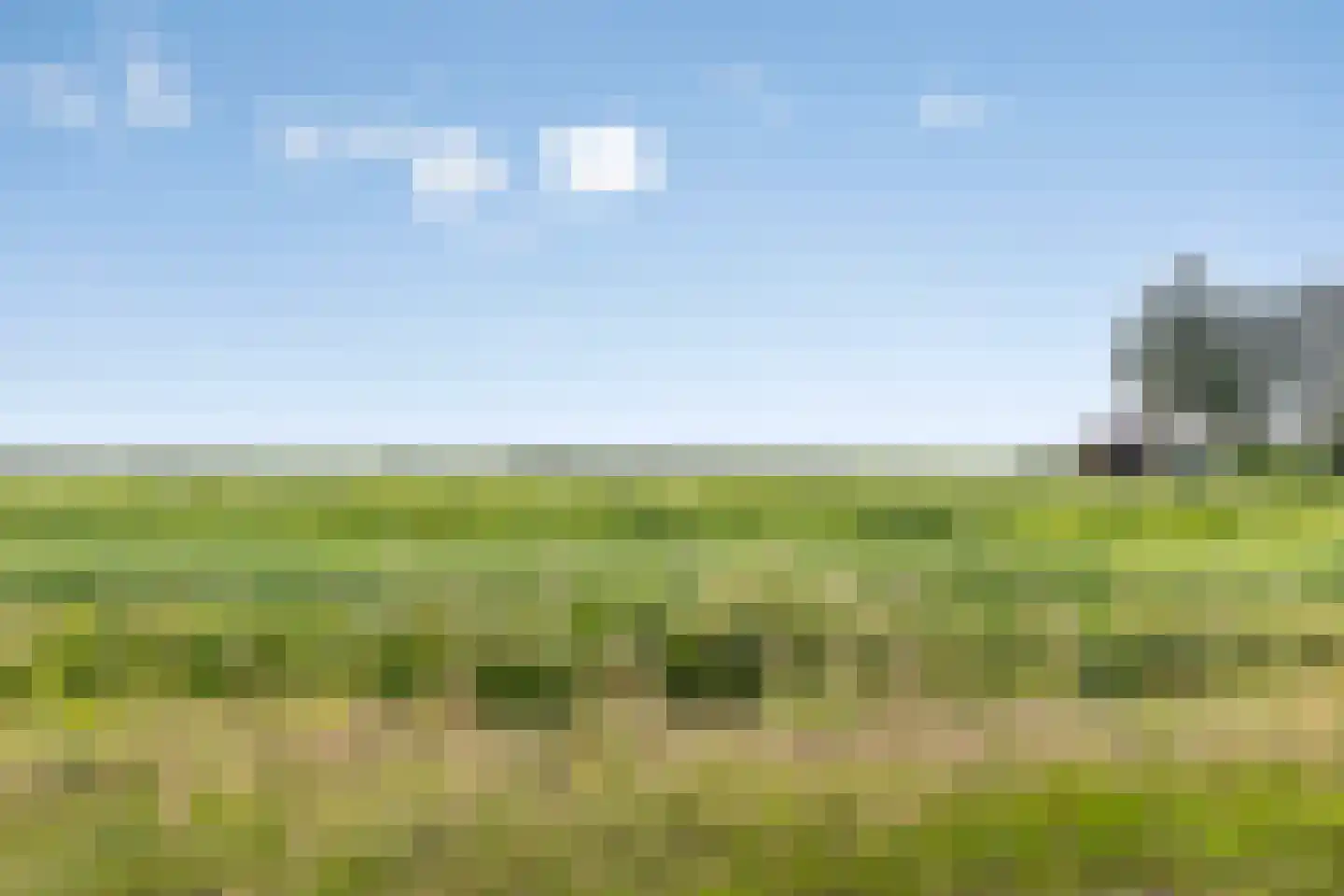 Nijeberkoperweg 27 Jubbega thumbnail 51