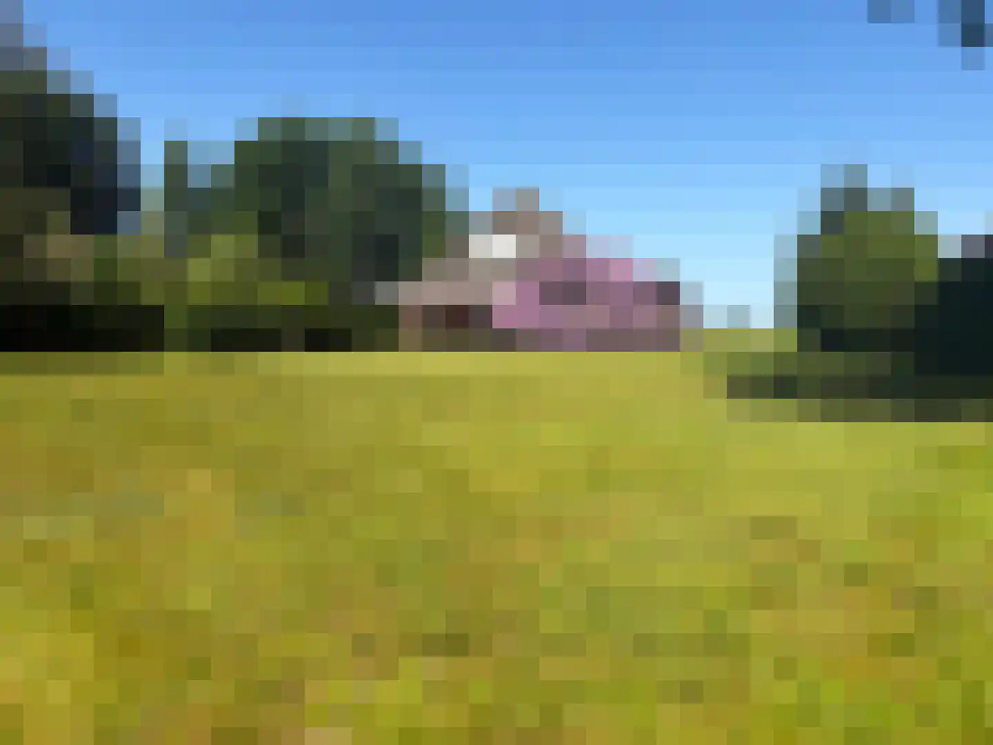 Nijeberkoperweg 27 Jubbega thumbnail 6