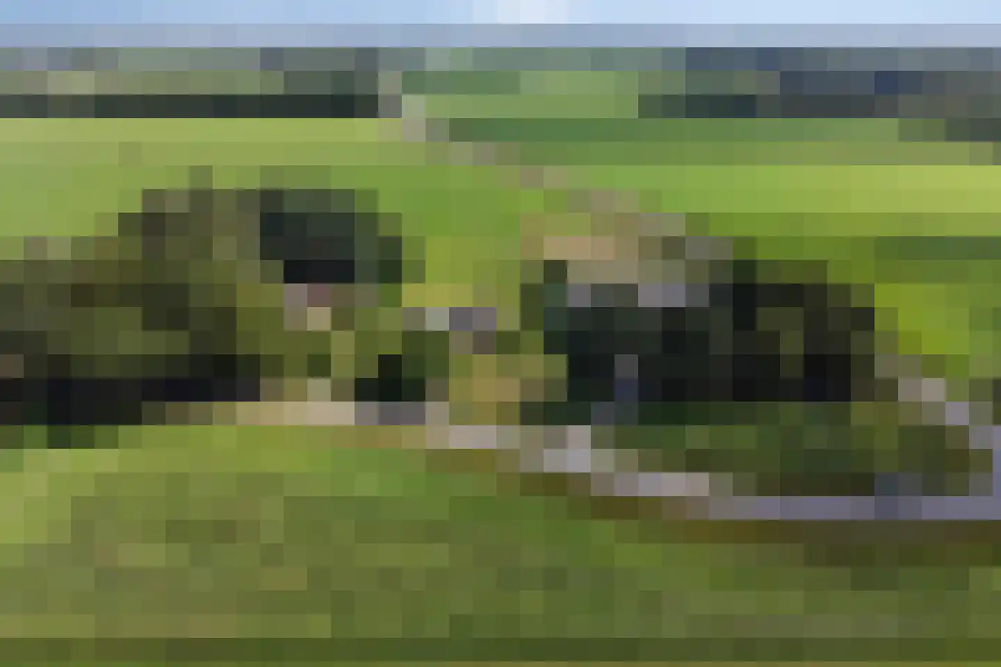 Nijeberkoperweg 27 Jubbega thumbnail 7