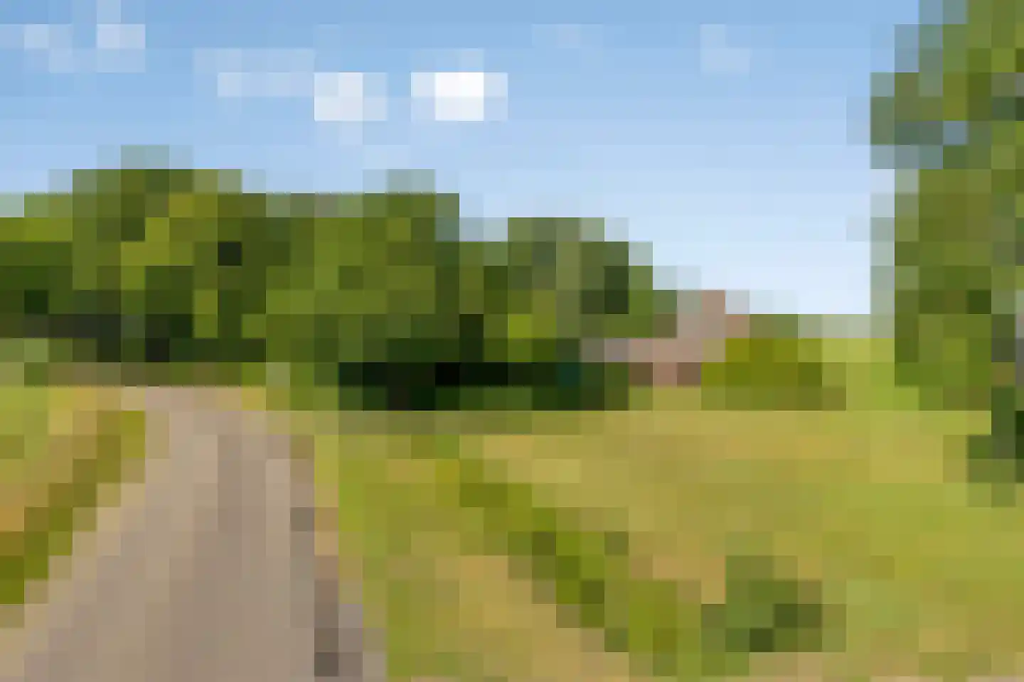 Nijeberkoperweg 27 Jubbega thumbnail 8