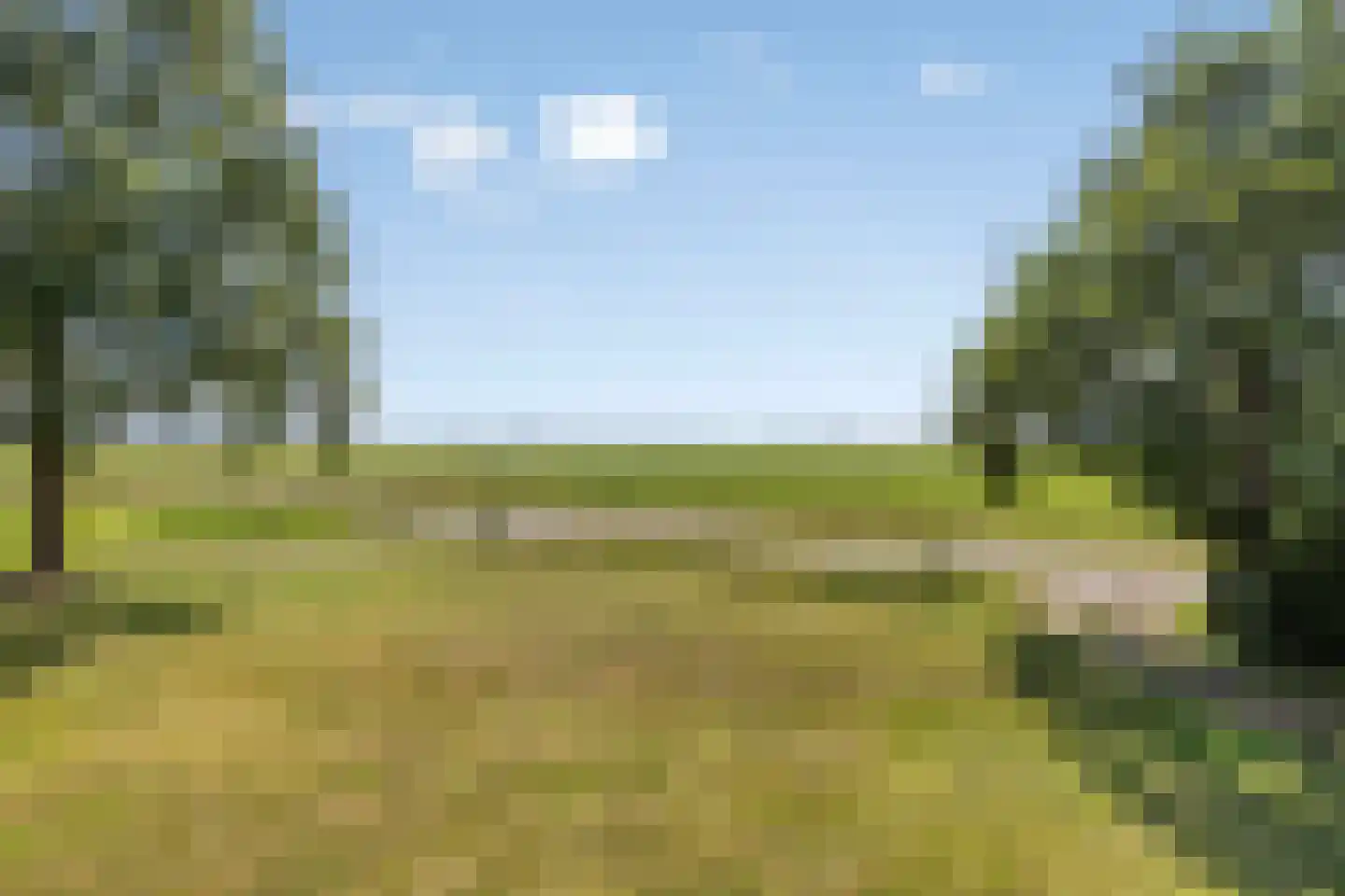 Nijeberkoperweg 27 Jubbega thumbnail 9