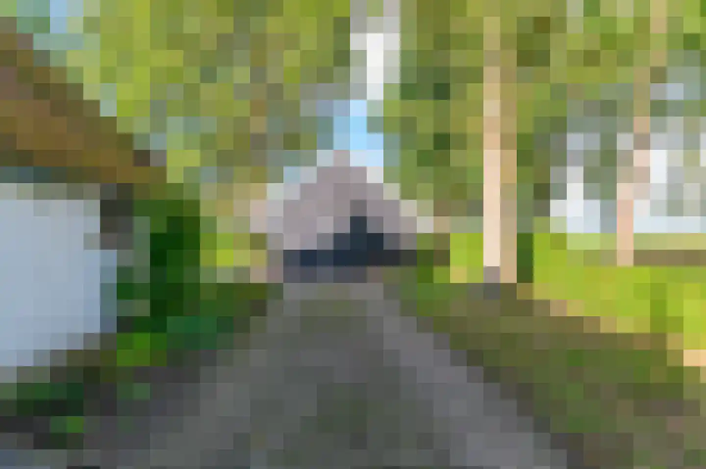 Nijeberkoperweg 4 Jubbega thumbnail 43