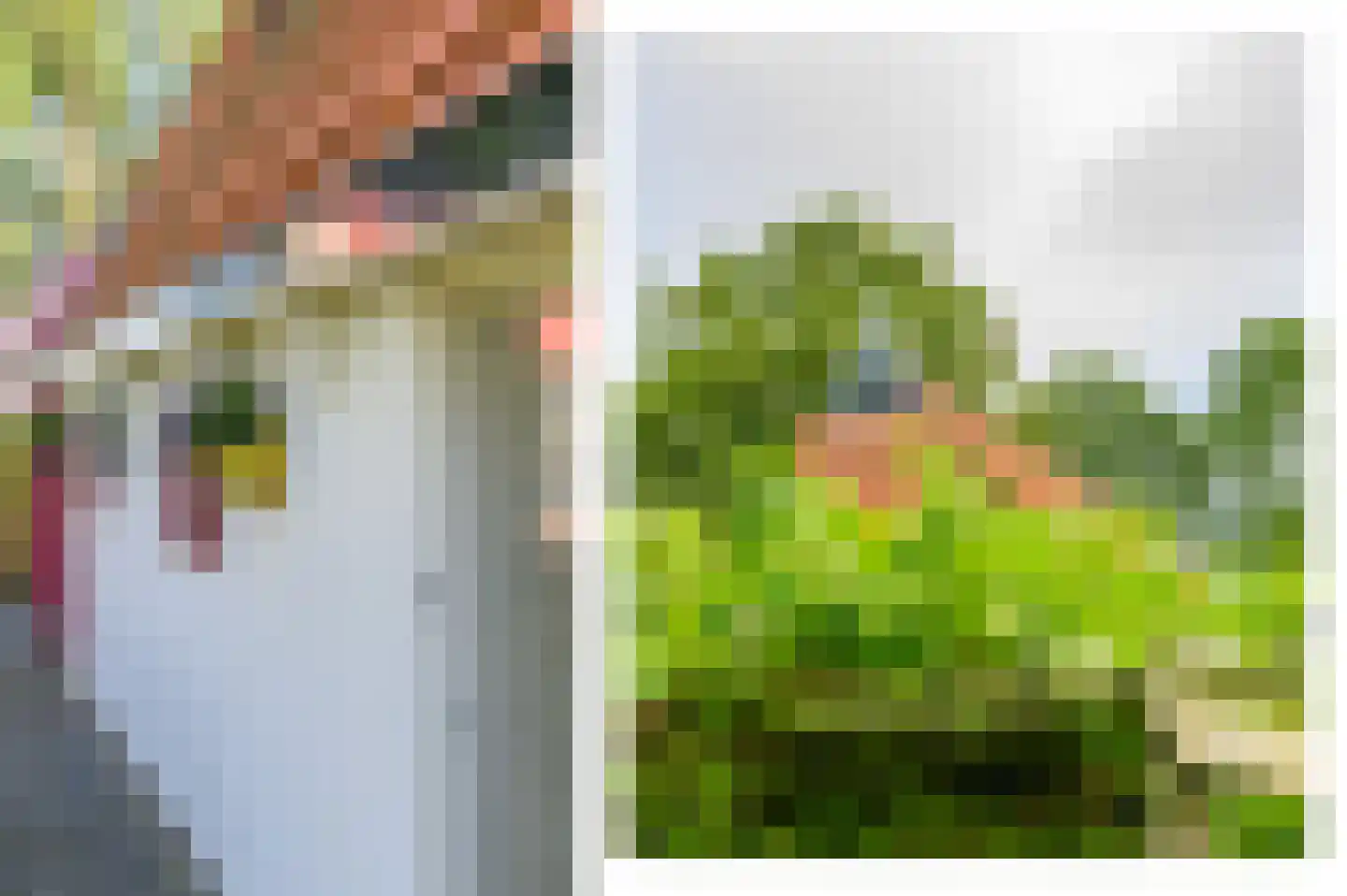 Nijeberkoperweg 4 Jubbega thumbnail 47