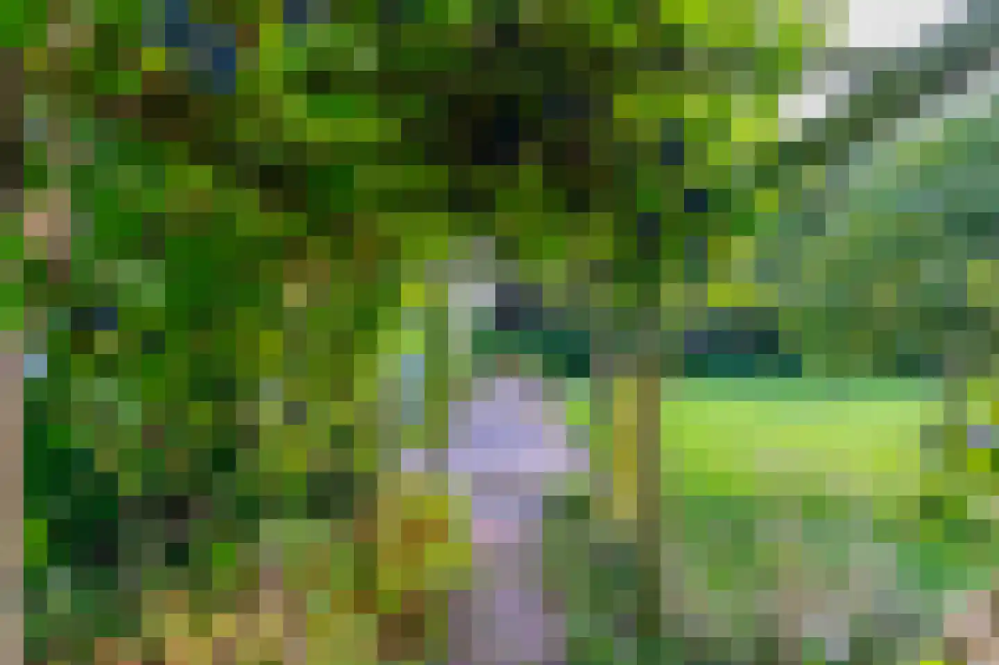 Nijeberkoperweg 4 Jubbega thumbnail 51