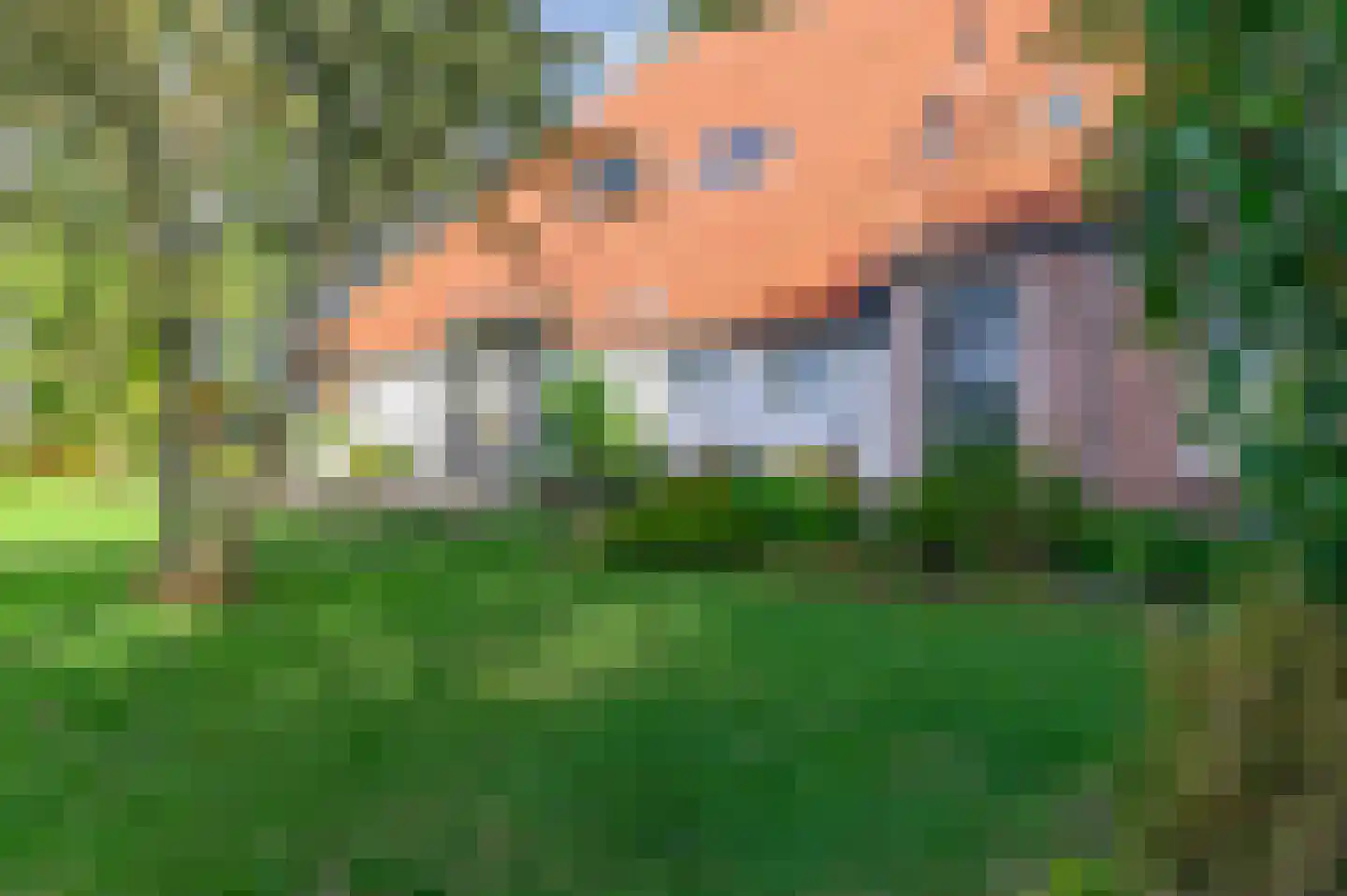 Nijeberkoperweg 4 Jubbega thumbnail 53