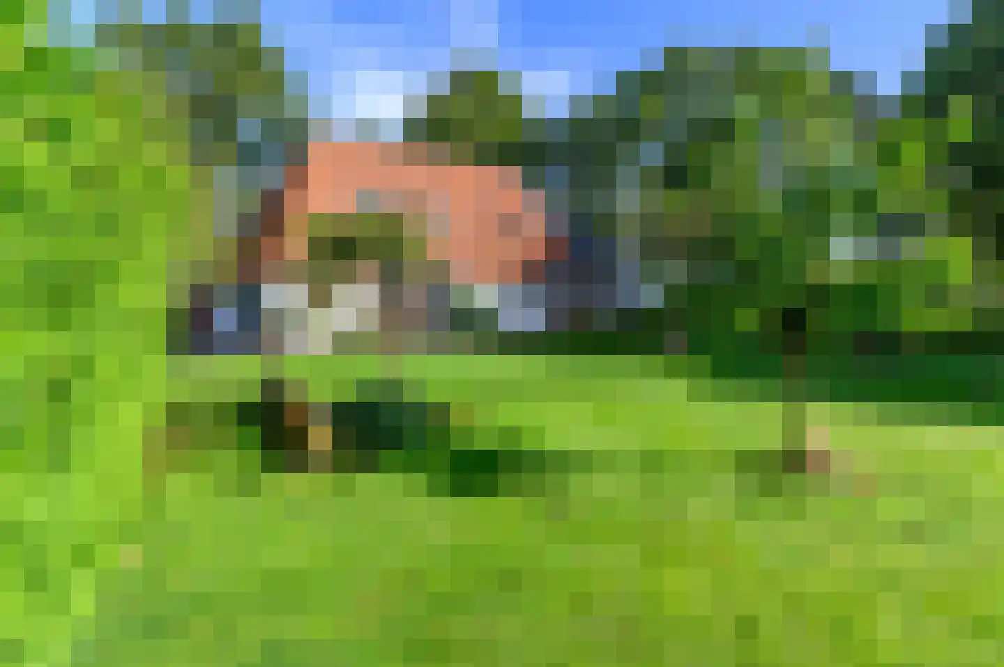 Nijeberkoperweg 4 Jubbega thumbnail 55
