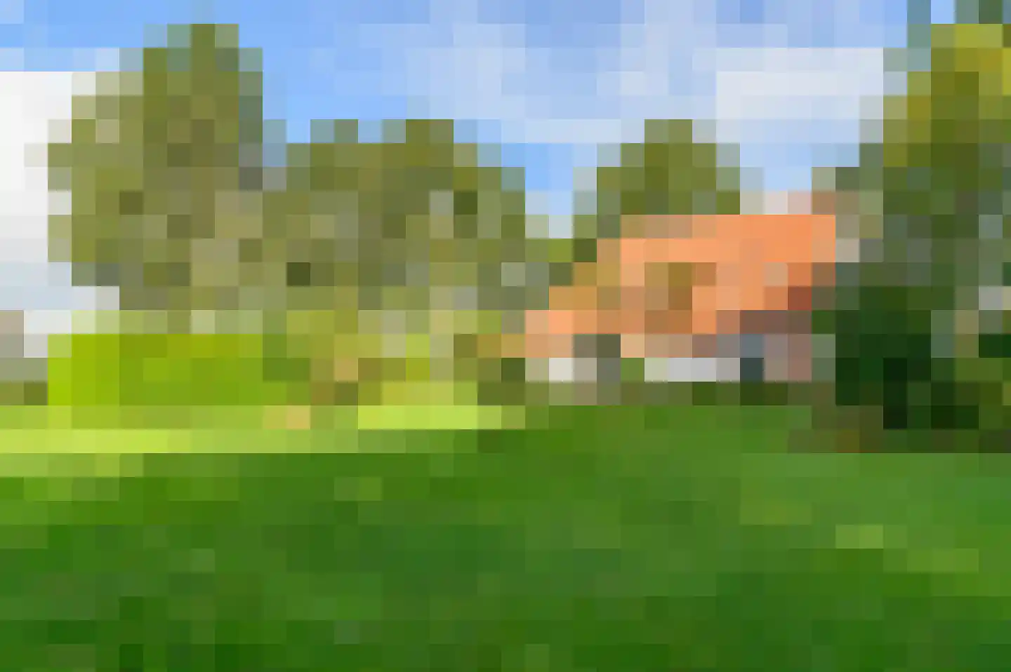 Nijeberkoperweg 4 Jubbega thumbnail 56
