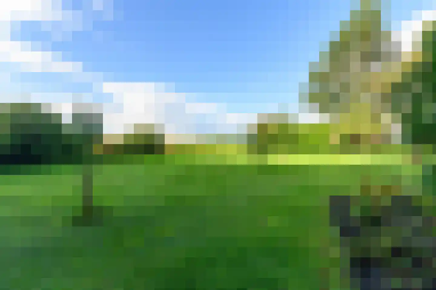 Nijeberkoperweg 4 Jubbega thumbnail 57