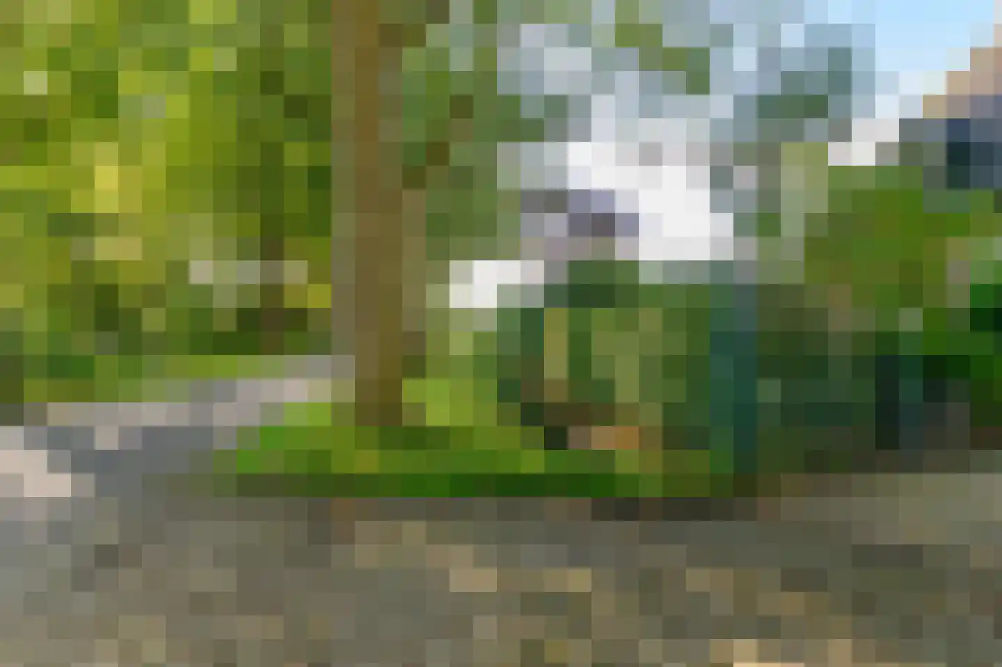 Nijeberkoperweg 4 Jubbega thumbnail 65
