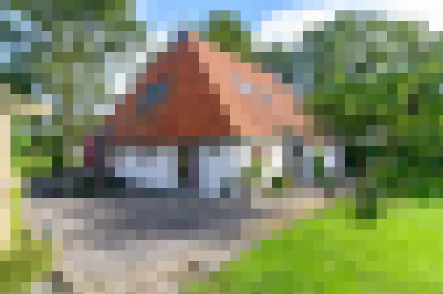 Nijeberkoperweg 4 Jubbega thumbnail 67
