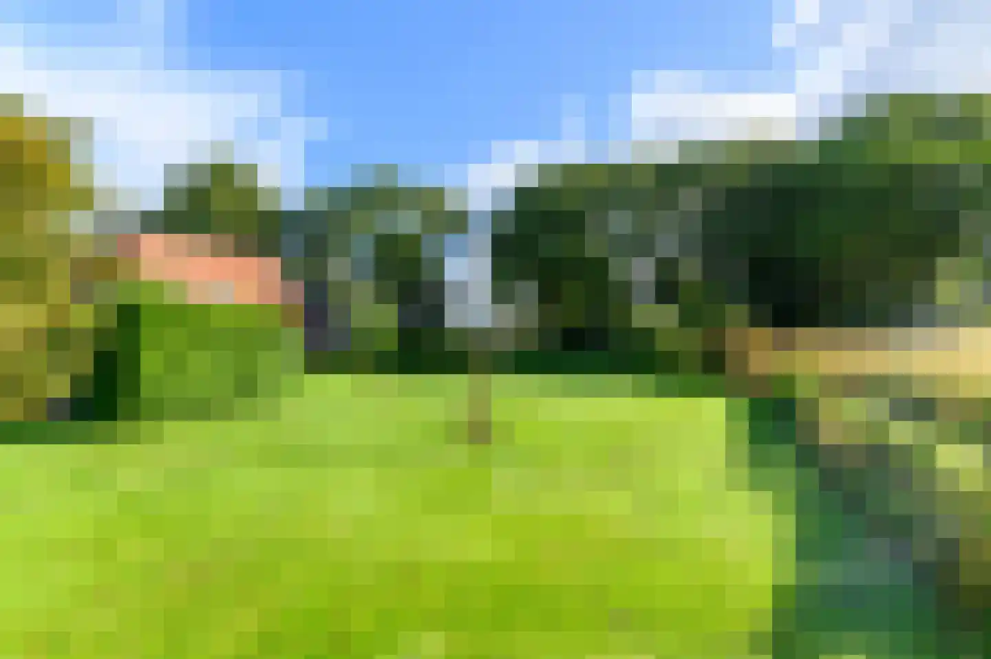 Nijeberkoperweg 4 Jubbega thumbnail 68