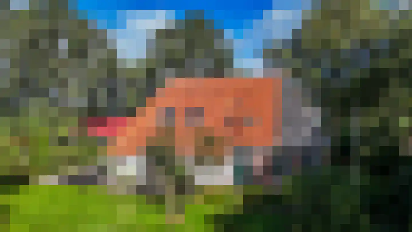Nijeberkoperweg 4 Jubbega thumbnail 69