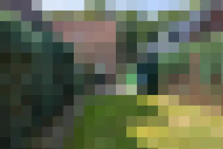 Nijeberkoperweg 5 Jubbega thumbnail 17