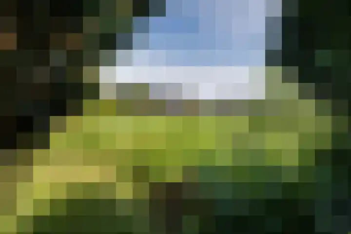 Nijeberkoperweg 5 Jubbega thumbnail 20