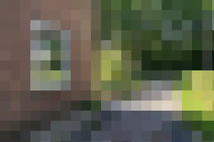 Nijeberkoperweg 5 Jubbega thumbnail 21