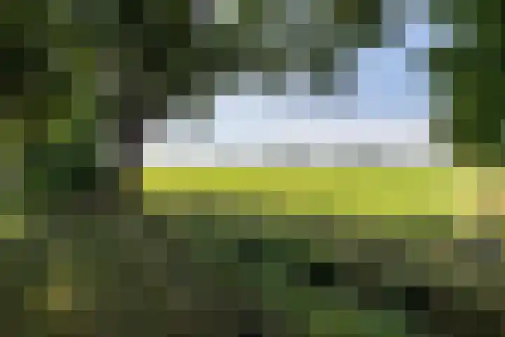 Nijeberkoperweg 5 Jubbega thumbnail 22