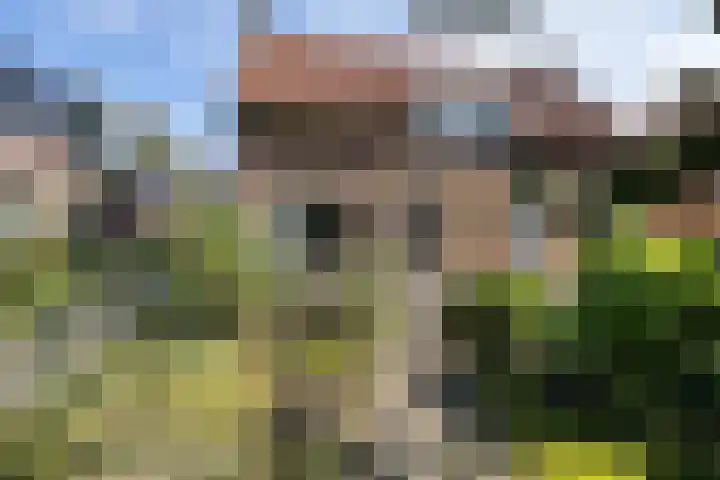 Nijeberkoperweg 5 Jubbega thumbnail 5