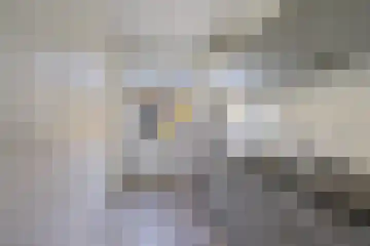 Nijeberkoperweg 5 Jubbega thumbnail 8