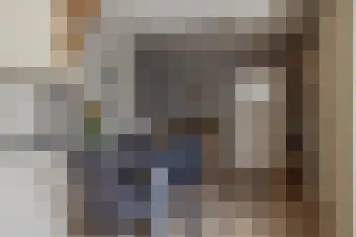 Nijebuorren 41 Harkema thumbnail 10