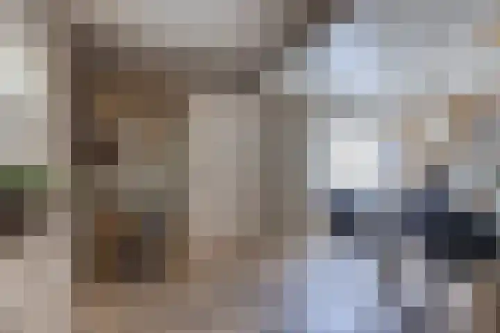 Nijebuorren 41 Harkema thumbnail 11