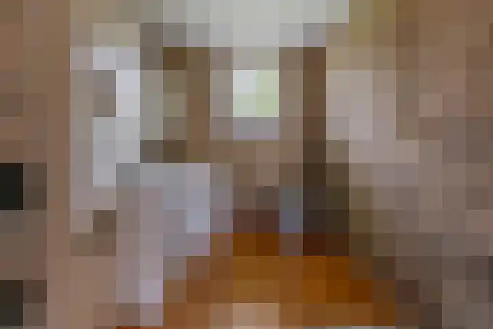 Nijebuorren 41 Harkema thumbnail 13