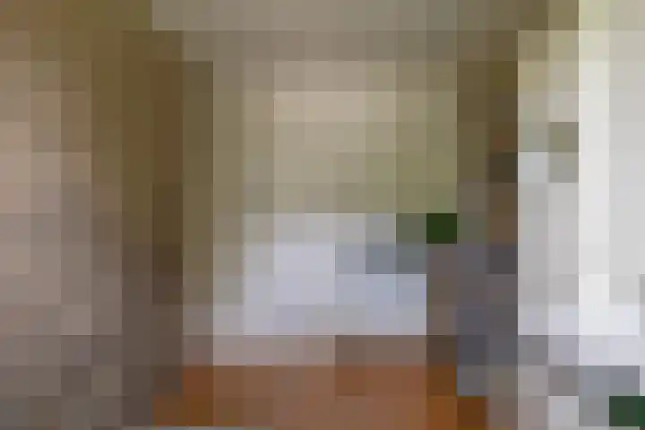 Nijebuorren 41 Harkema thumbnail 14
