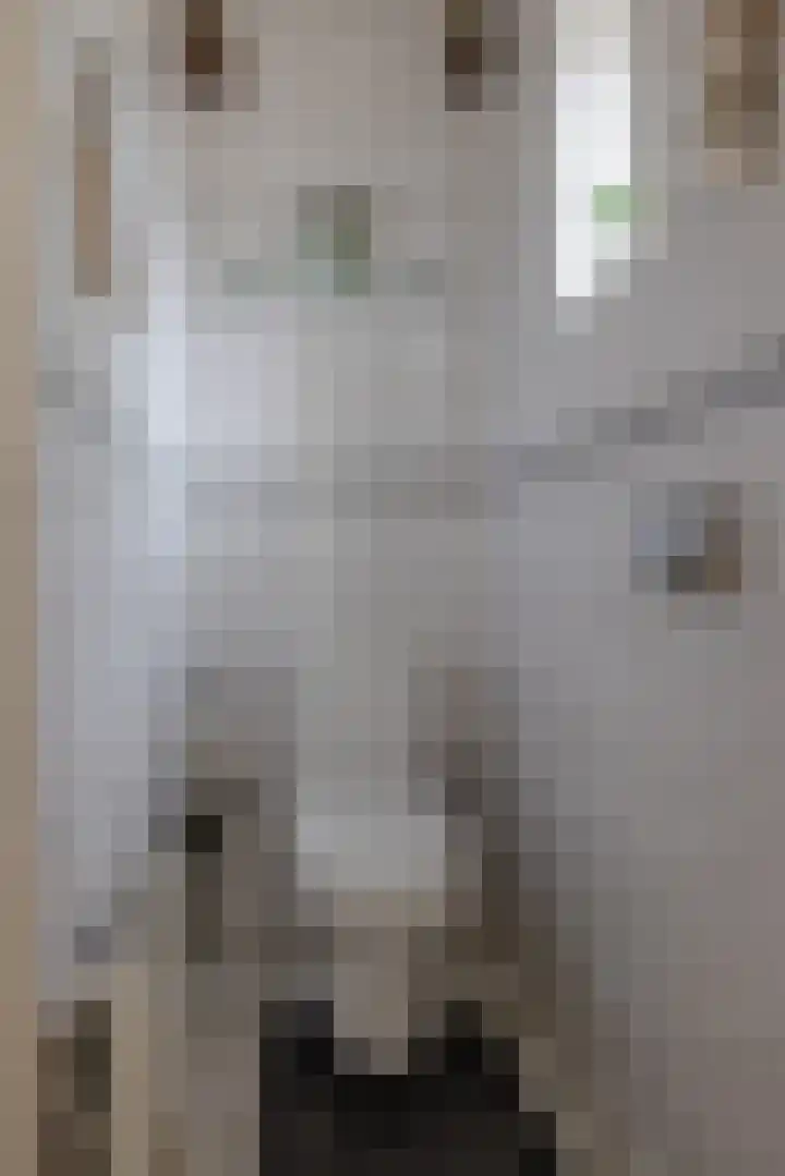 Nijebuorren 41 Harkema thumbnail 17