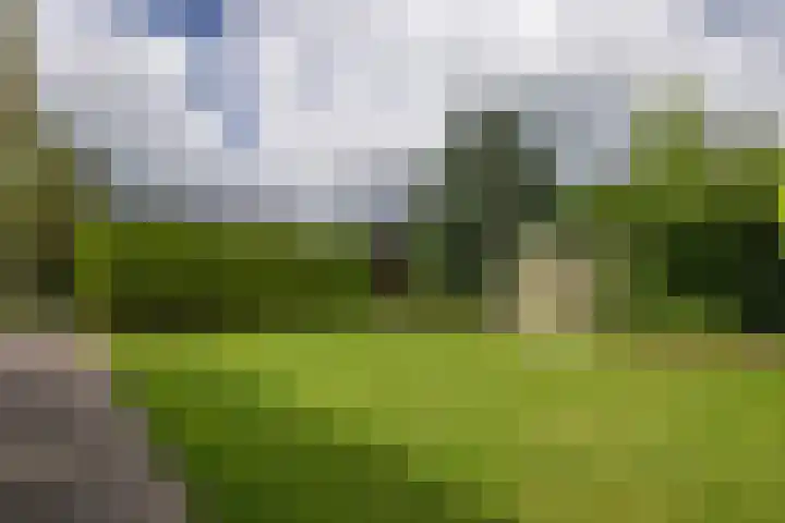 Nijebuorren 41 Harkema thumbnail 32