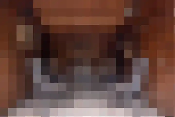 Nijebuorren 41 Harkema thumbnail 36